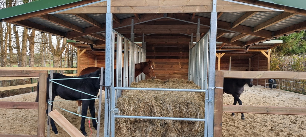 Futterraufe für Pferde BASIC – 6 Fressplätze | Heuraufe nach EU-Normen