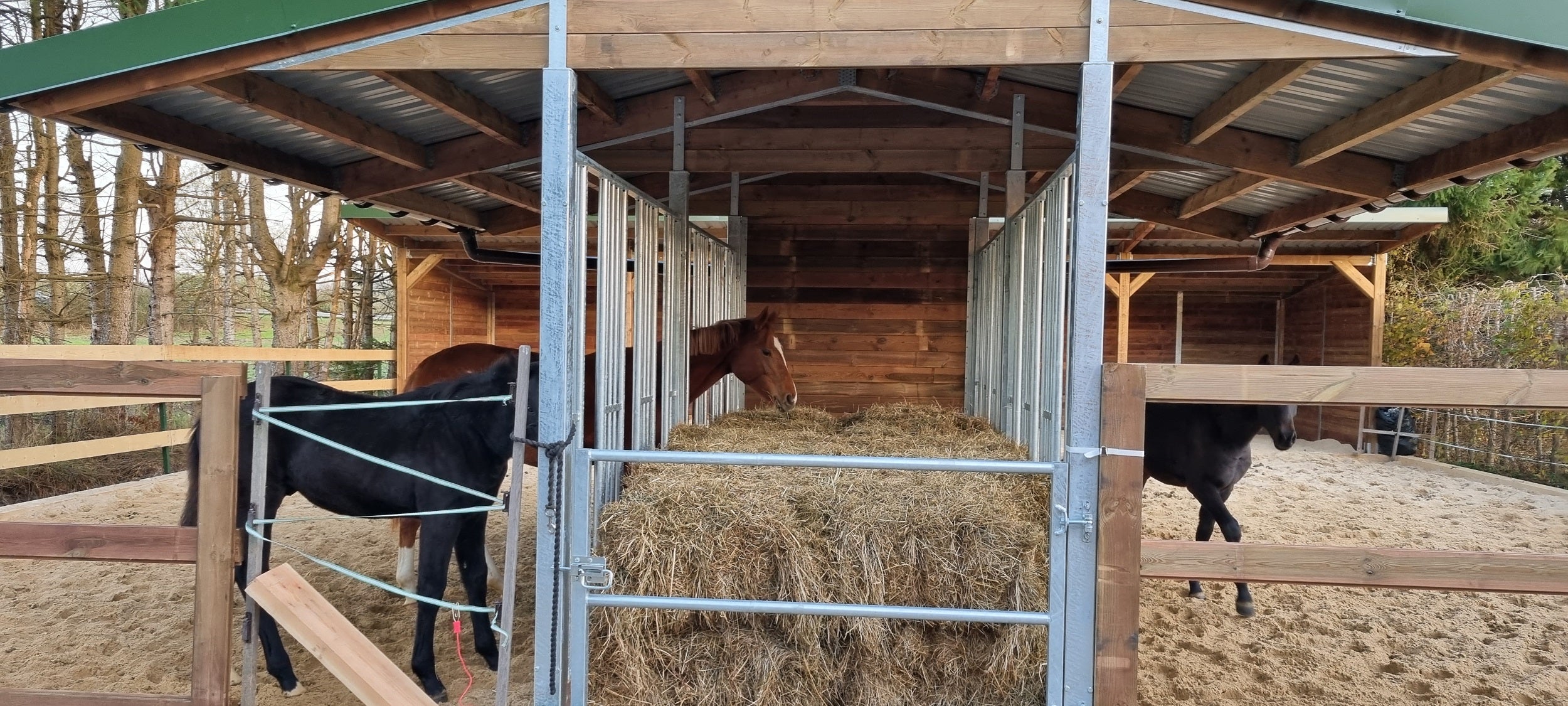 Futterraufe für Pferde BASIC – 6 Fressplätze | Heuraufe nach EU-Normen