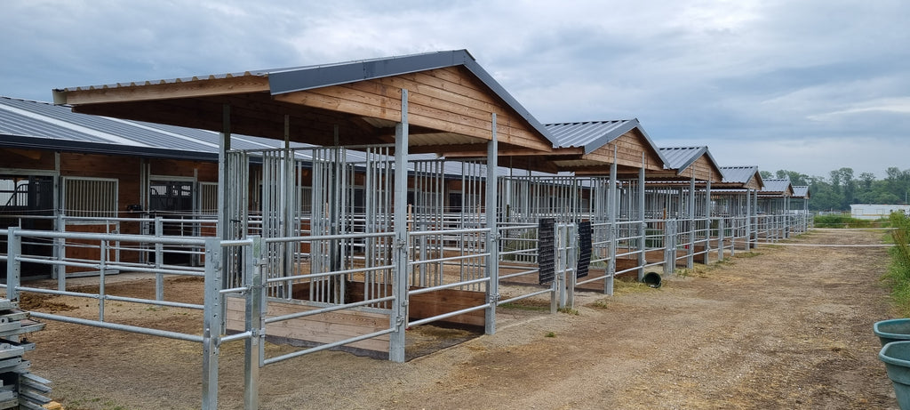 Futterraufe für Pferde BASIC – 6 Fressplätze | Heuraufe nach EU-Normen