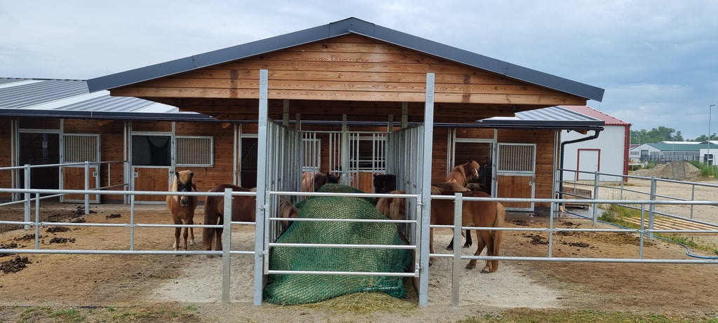 Futterraufe für Pferde BASIC – 6 Fressplätze | Heuraufe nach EU-Normen