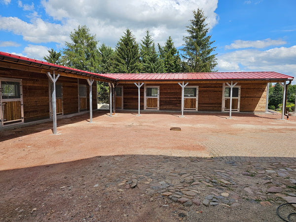 Mario Wagner - Baumanagement