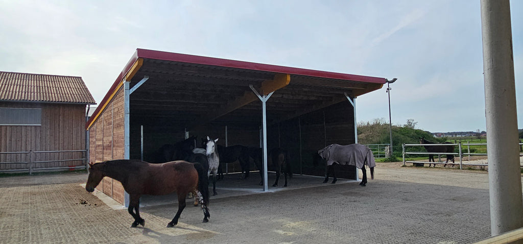 Offenstall & Weidehütte für Pferde – Unterstände nach EU-Normen
