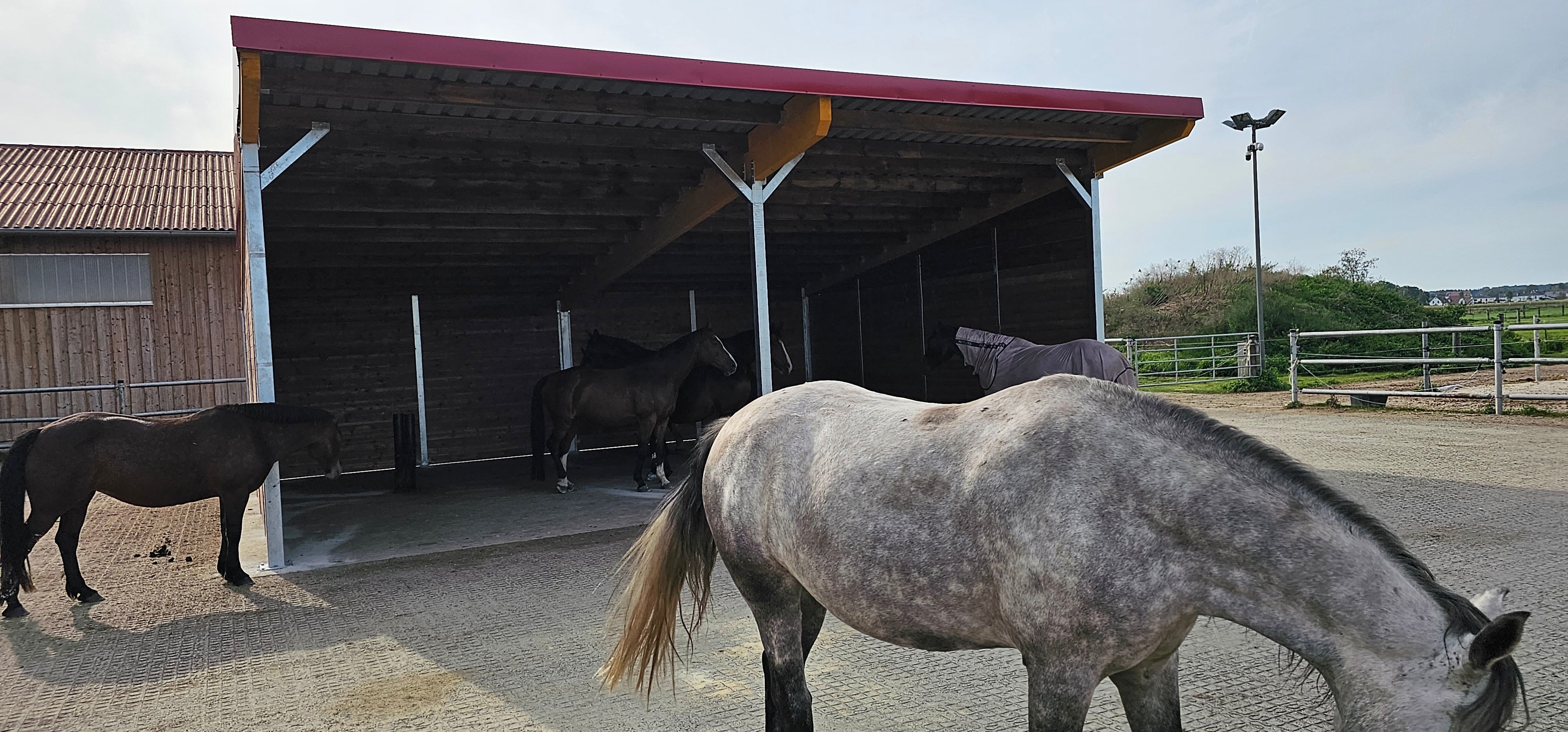 Offenstall & Weidehütte für Pferde – Unterstände nach EU-Normen