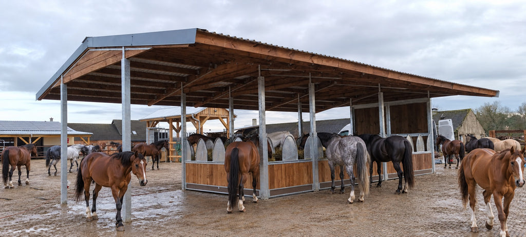 Voerruif voor paarden ACTIVE 6 – 6 voerplaatsen | Hooiruif met dak