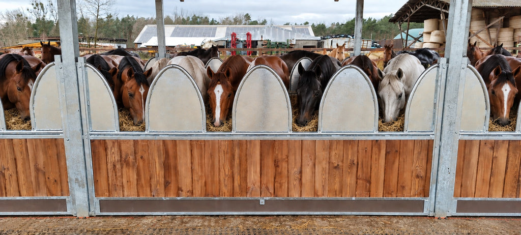 Voerruif voor paarden ACTIVE 6 – 6 voerplaatsen | Hooiruif met dak