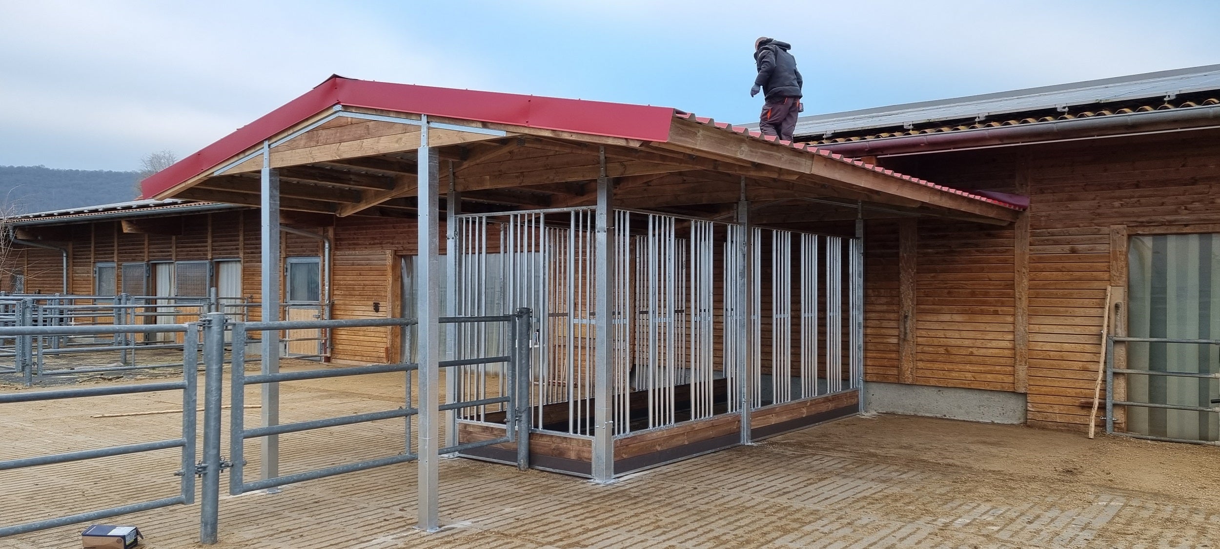 Futterraufe für Pferde für Paddock und Weide