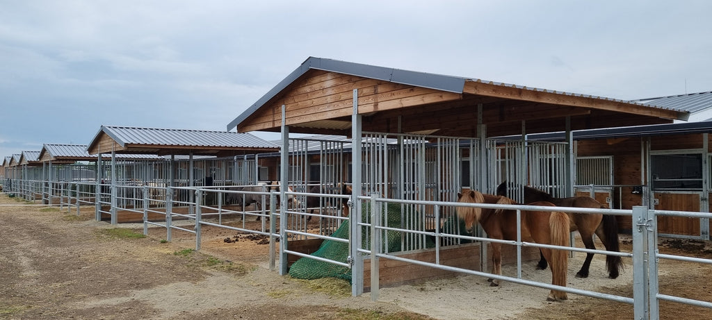 Futterraufe für Pferde BASIC für Offenstall, Paddock und Weide