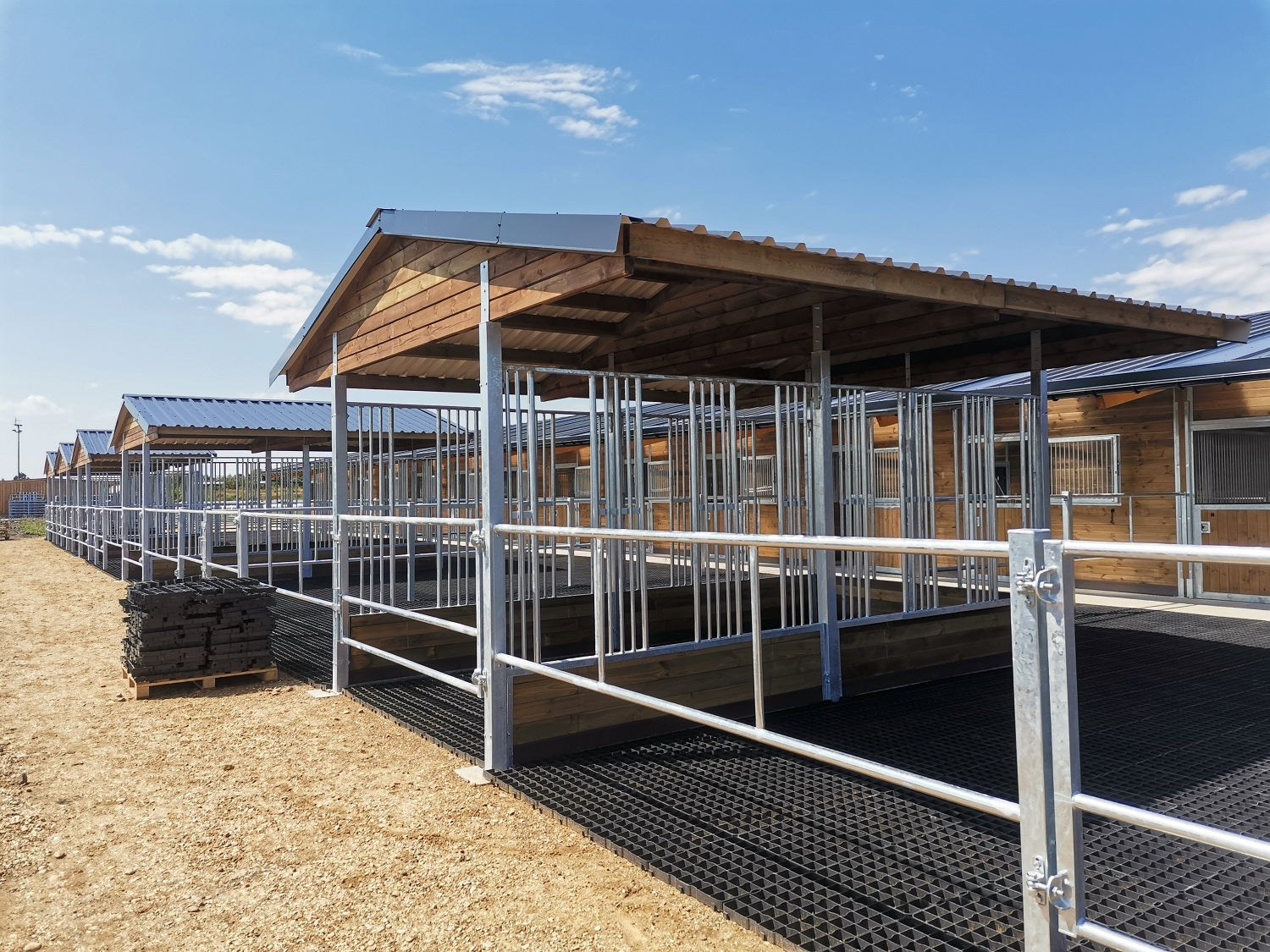 Reit-Paddockplatten 40 mm – stabile Paddockplatten für Pferde